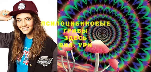 MDMA Premium VHQ Аркадак
