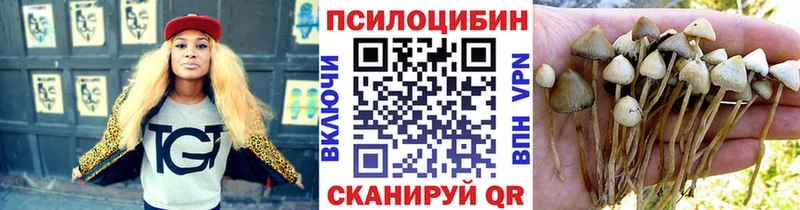 Галлюциногенные грибы Psilocybine cubensis  omg ссылка  Удачный 